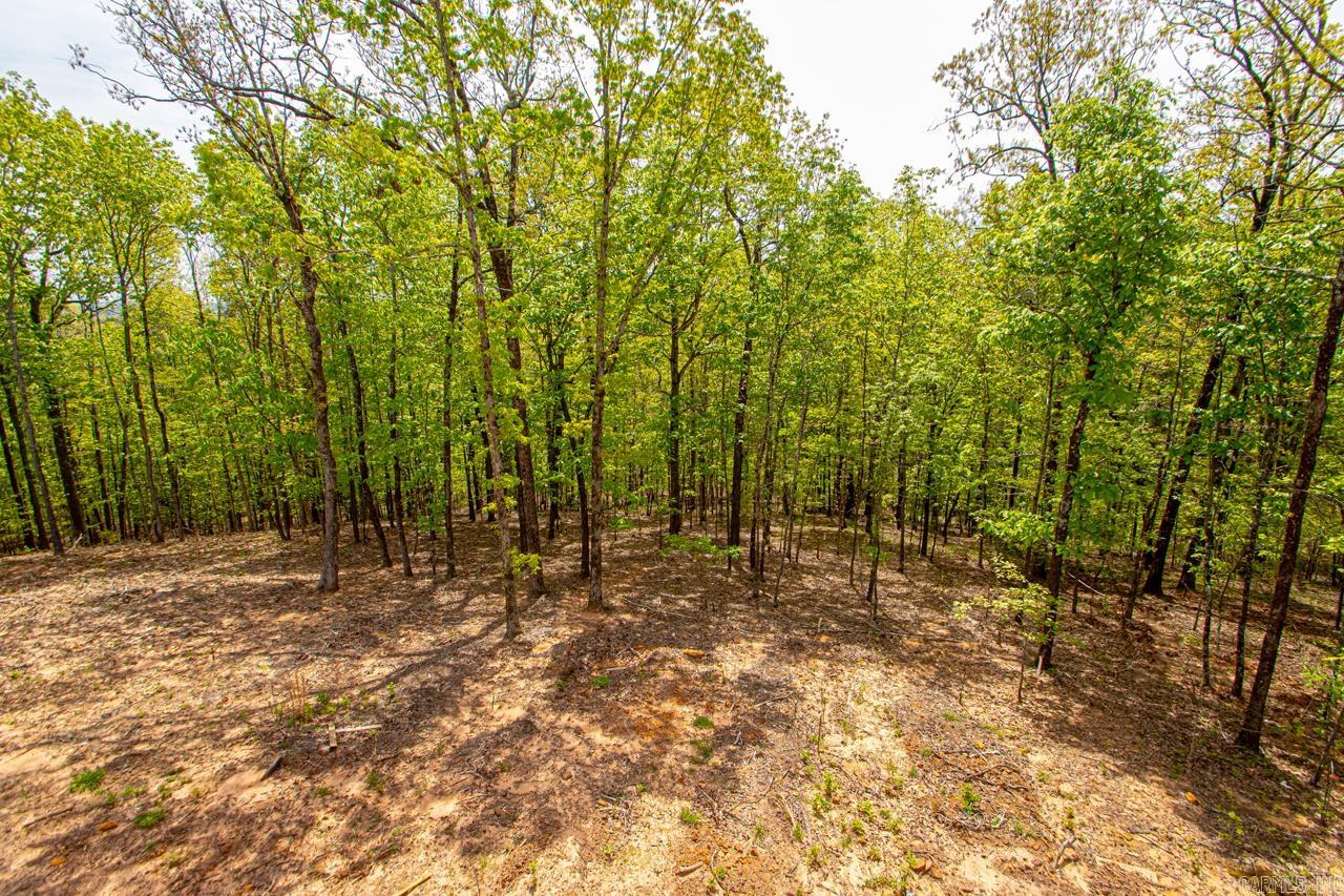 17 Mountain Vista Drive Alexander, AR 72002