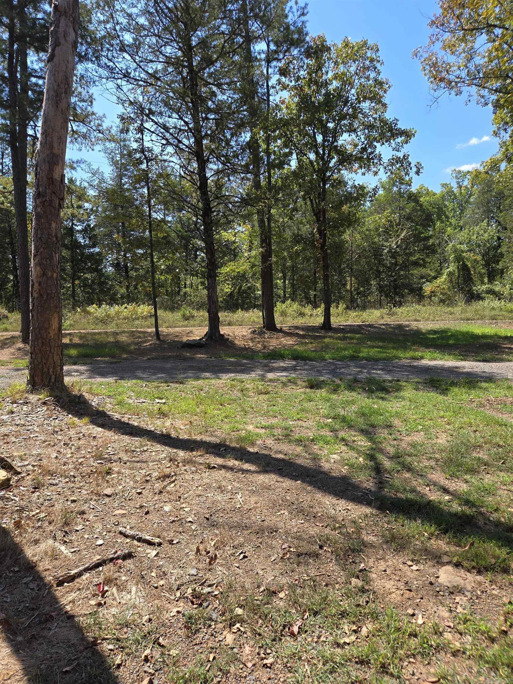 1367  Klondike Rd.  Clinton, AR