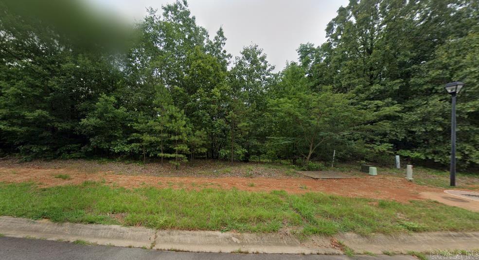 13  Mountain Vista  Alexander, AR