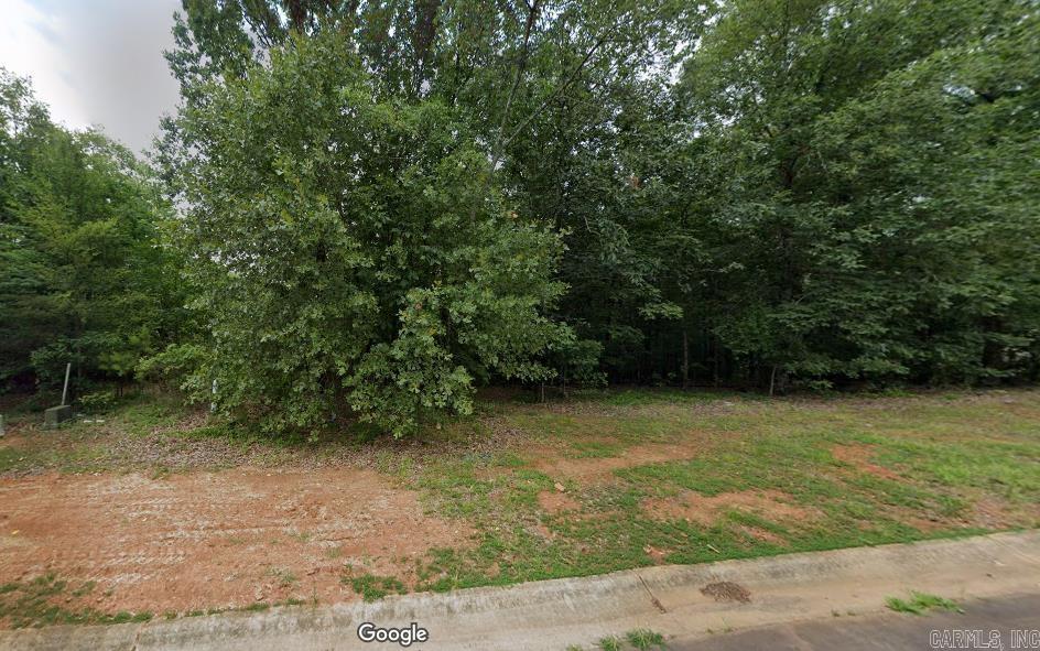 11  Mountain Vista  Alexander, AR