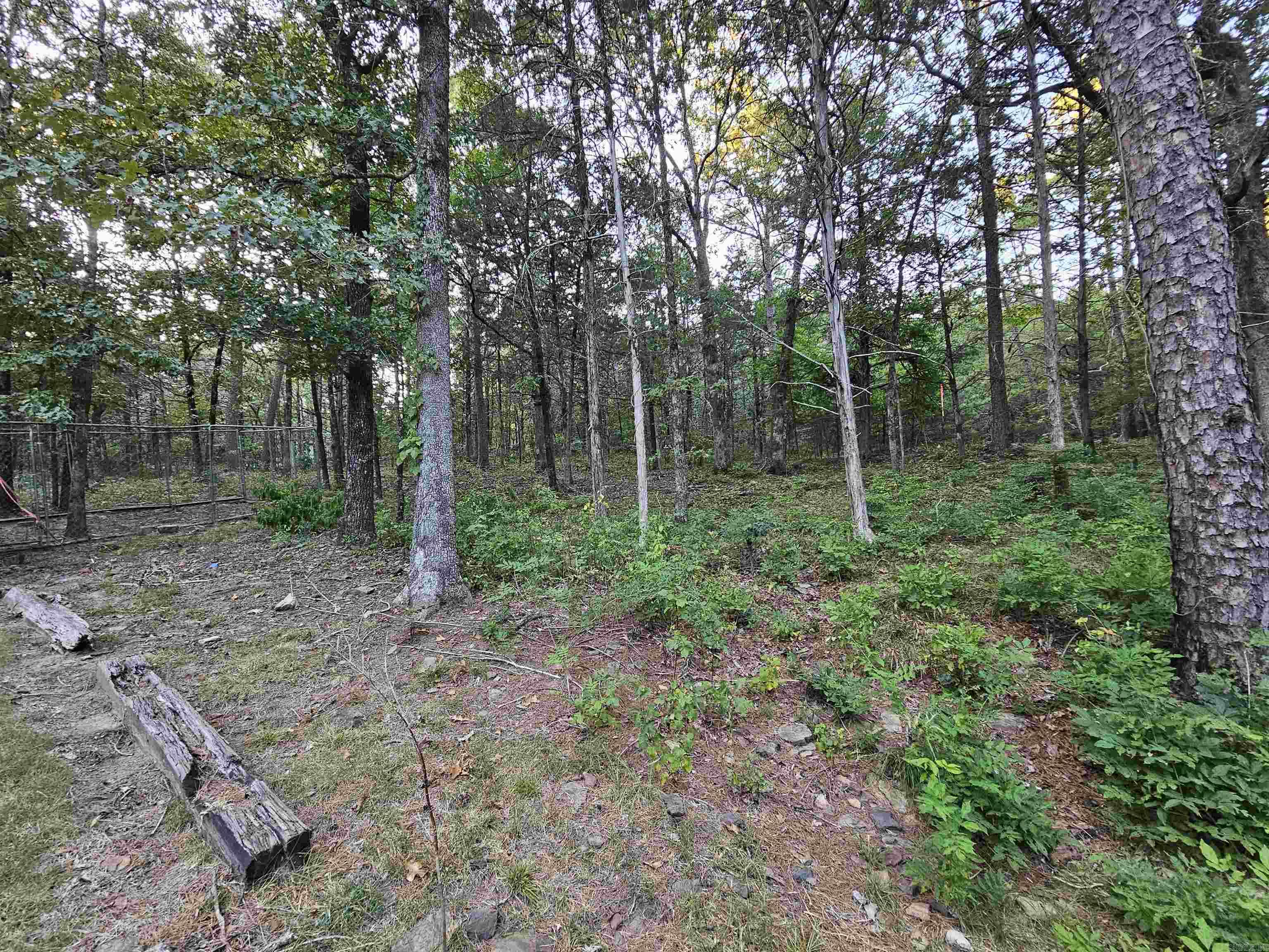 127  Wigwam Trail  Fairfield Bay, AR