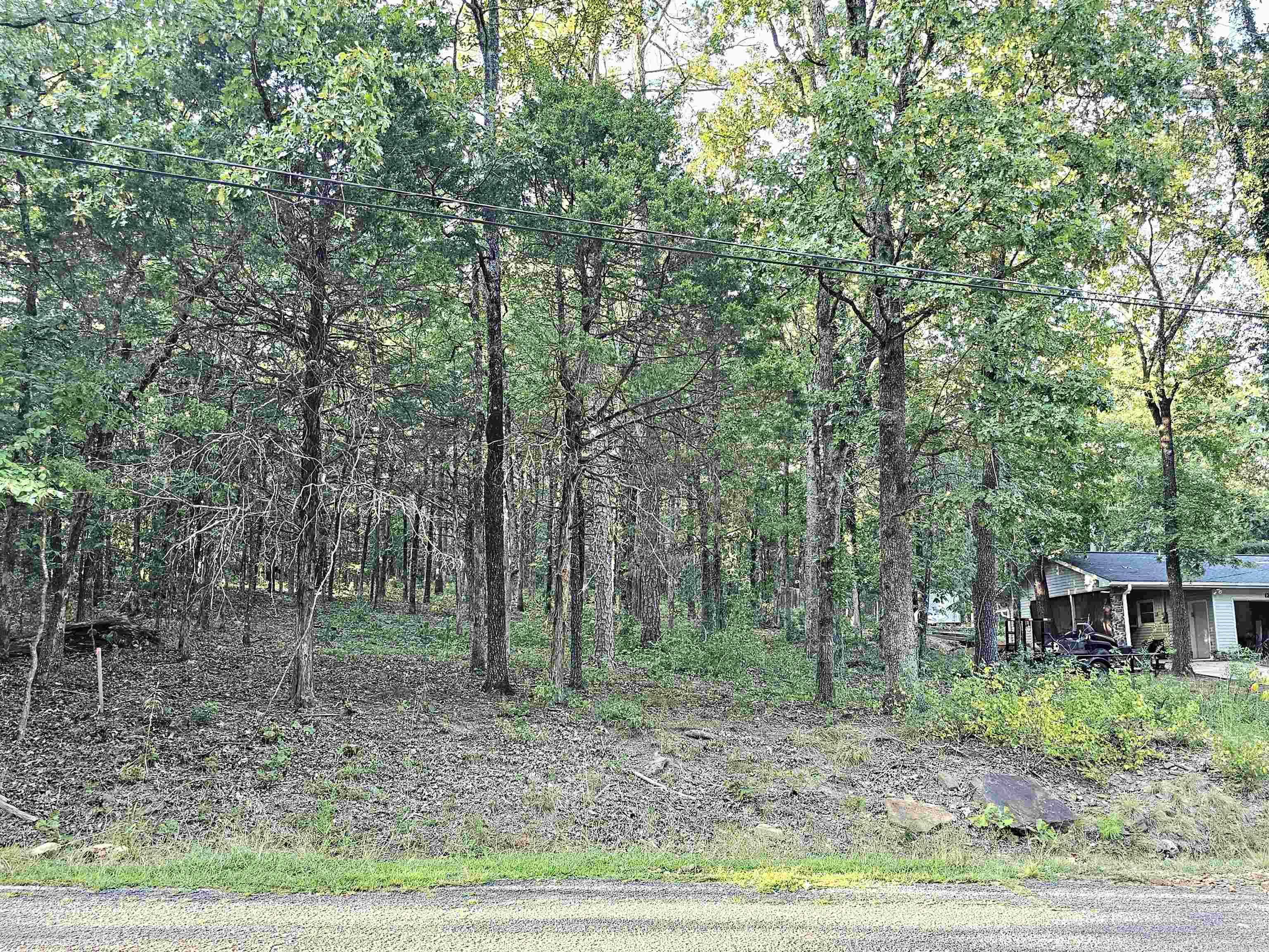 127  Wigwam Trail  Fairfield Bay, AR