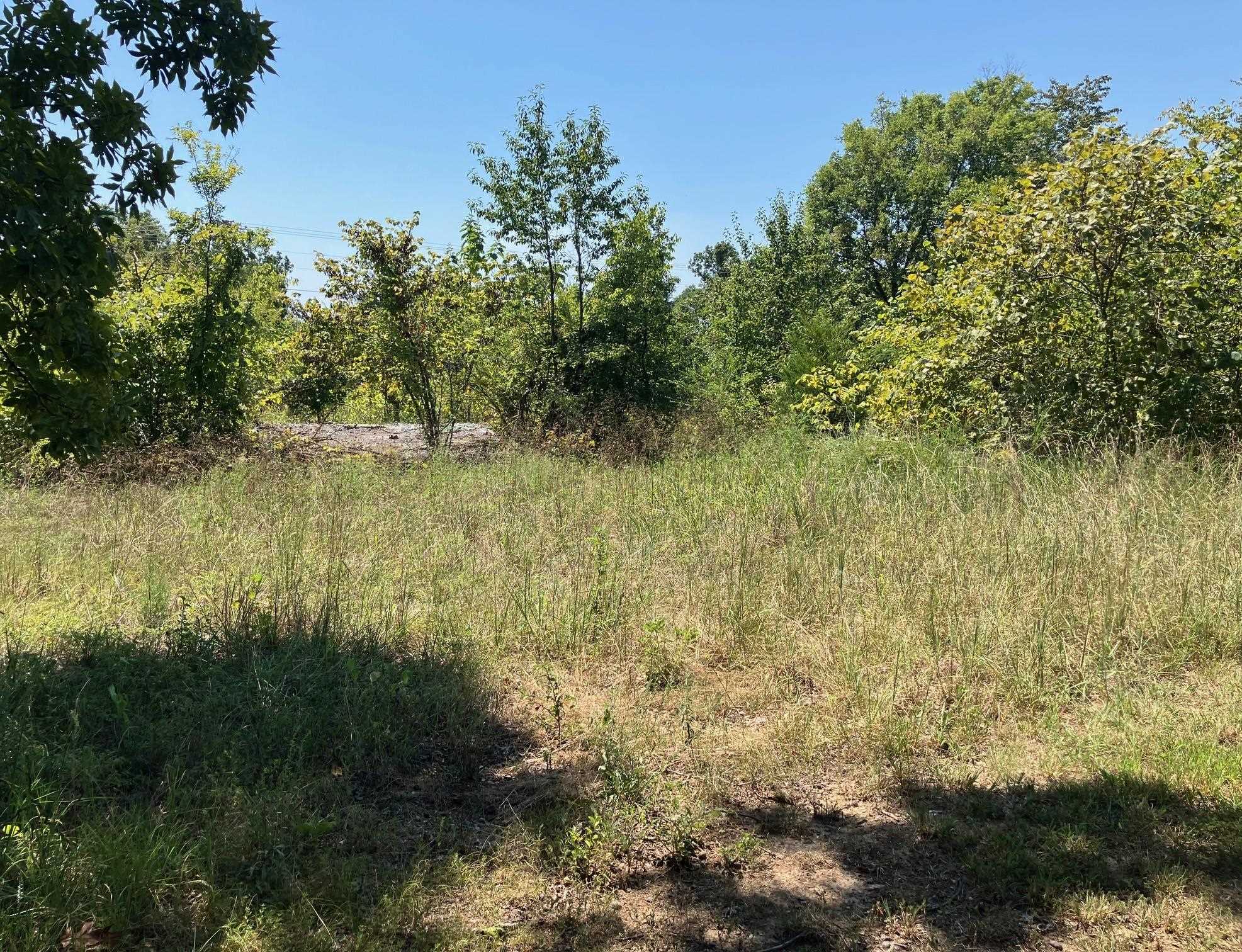 1942  Hwy 63 E  Hardy, AR