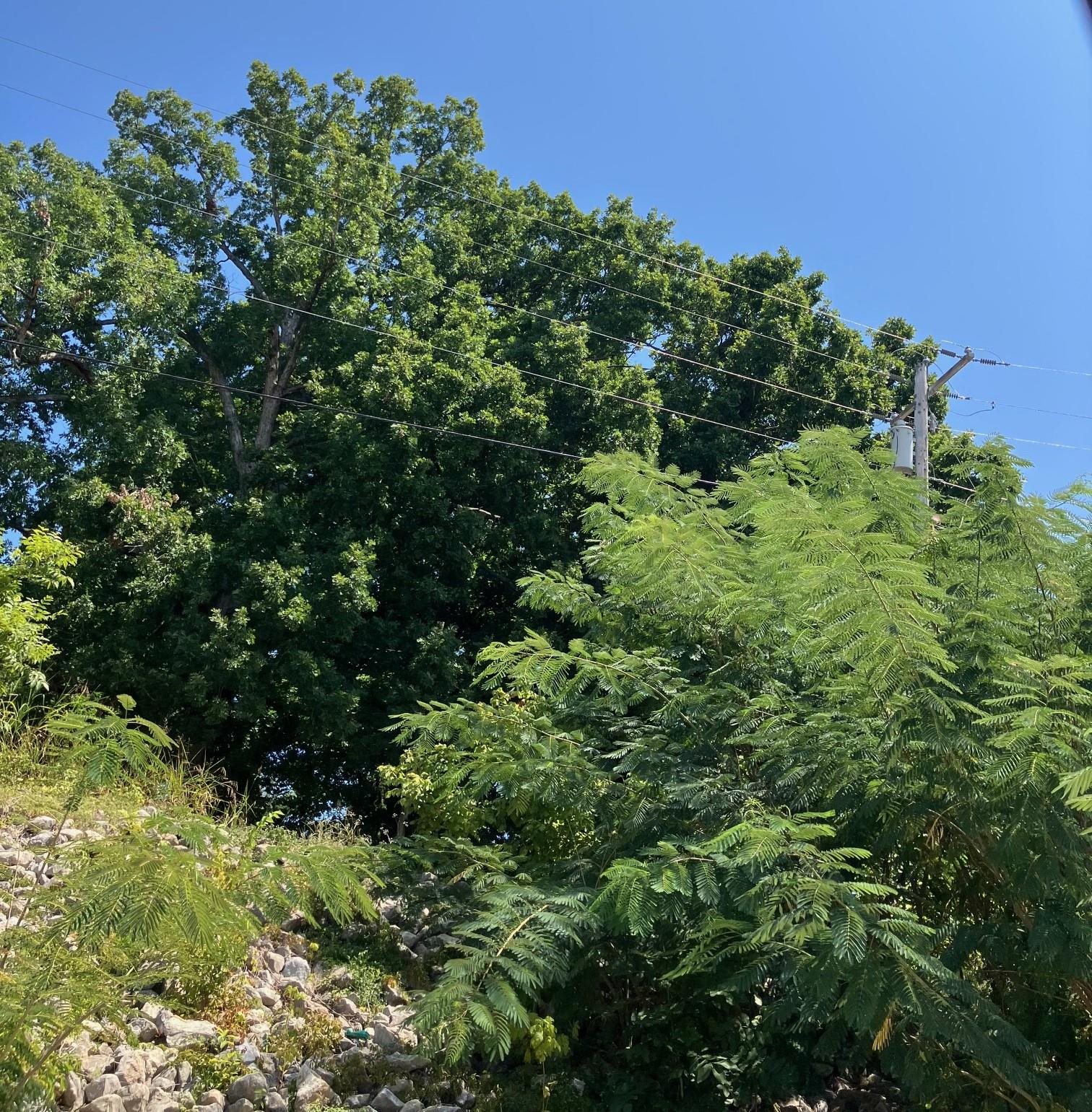 1942  Hwy 63 E  Hardy, AR