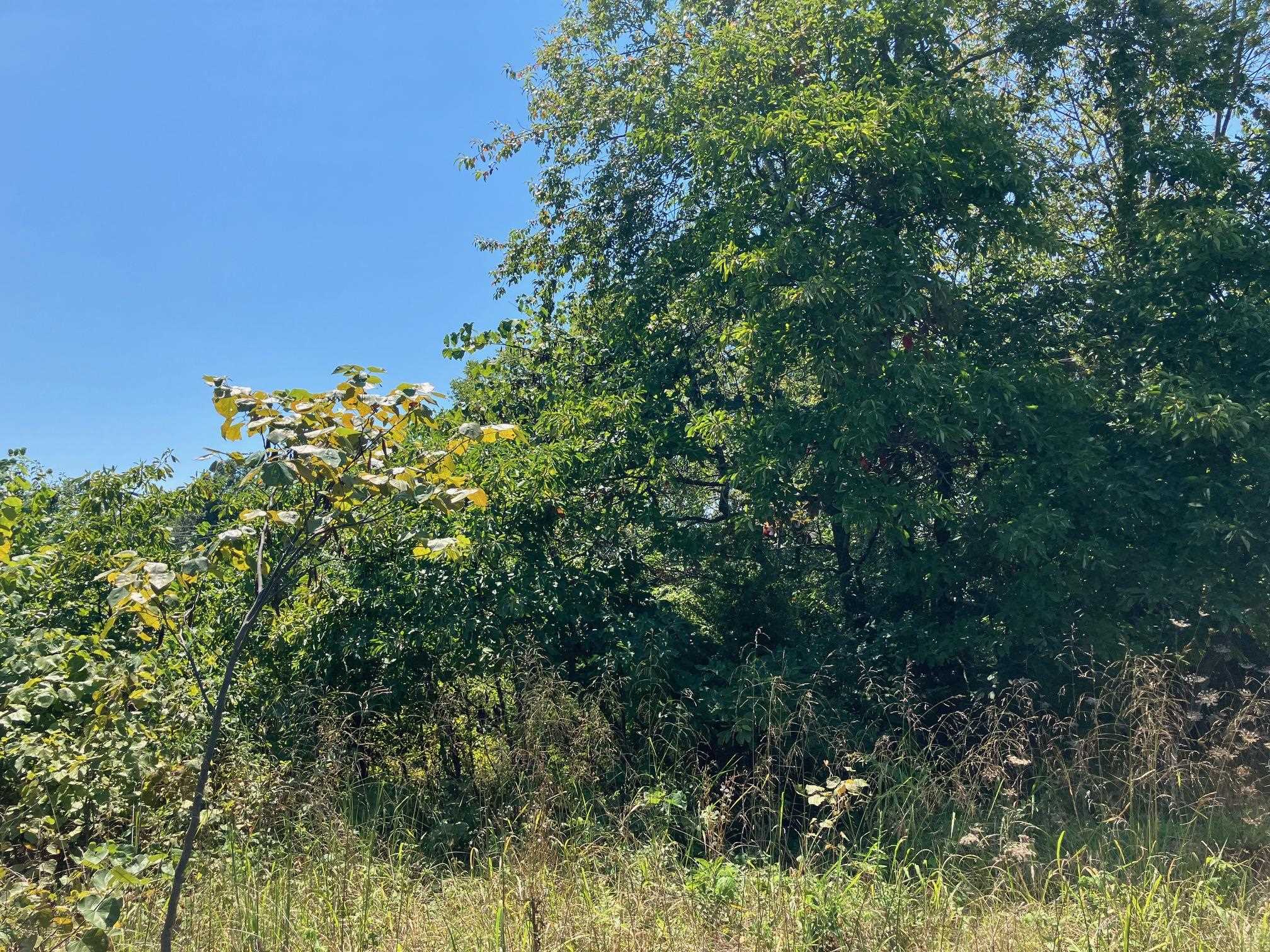 1942  Hwy 63 E  Hardy, AR