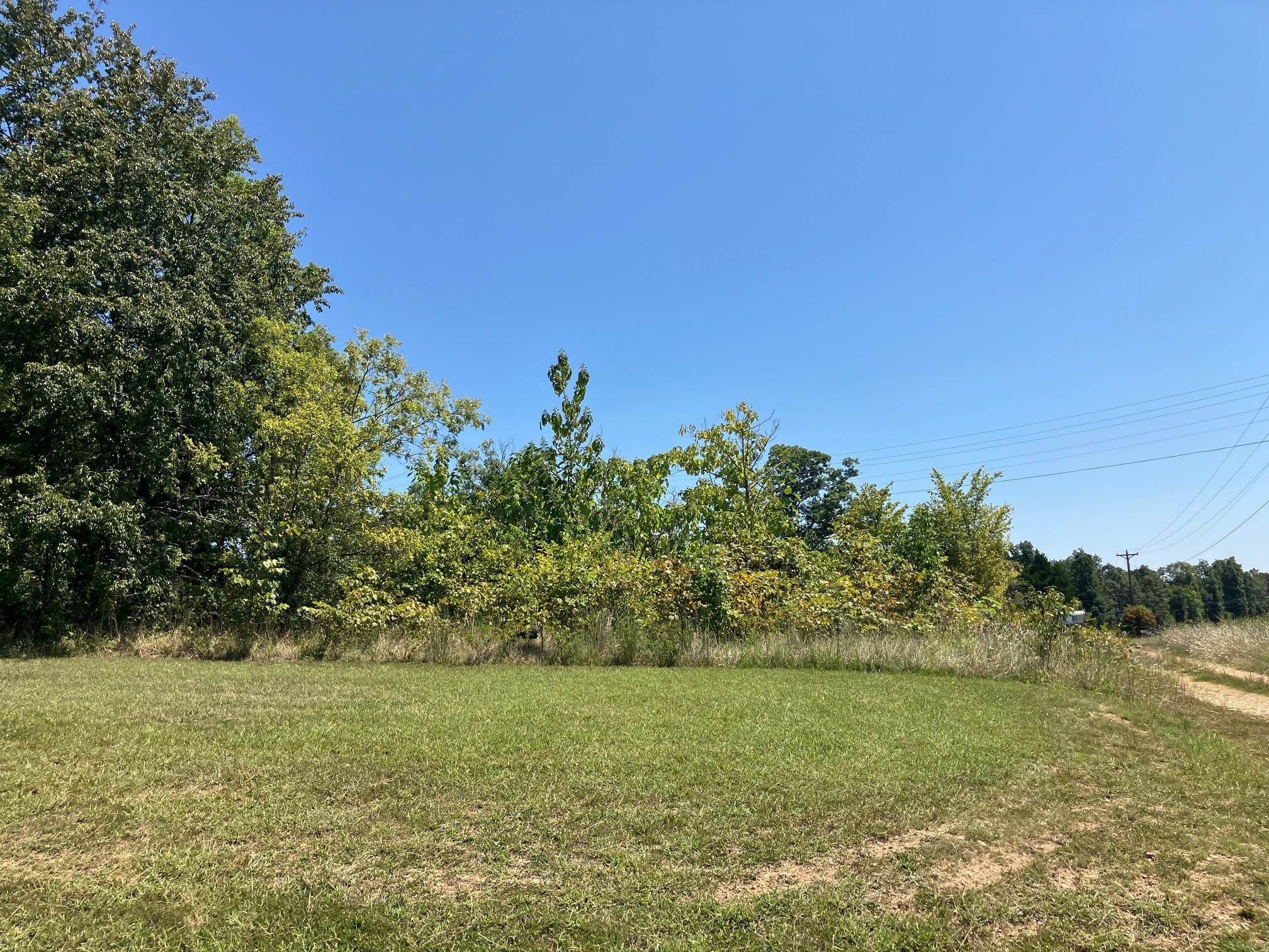 1942  Hwy 63 E  Hardy, AR