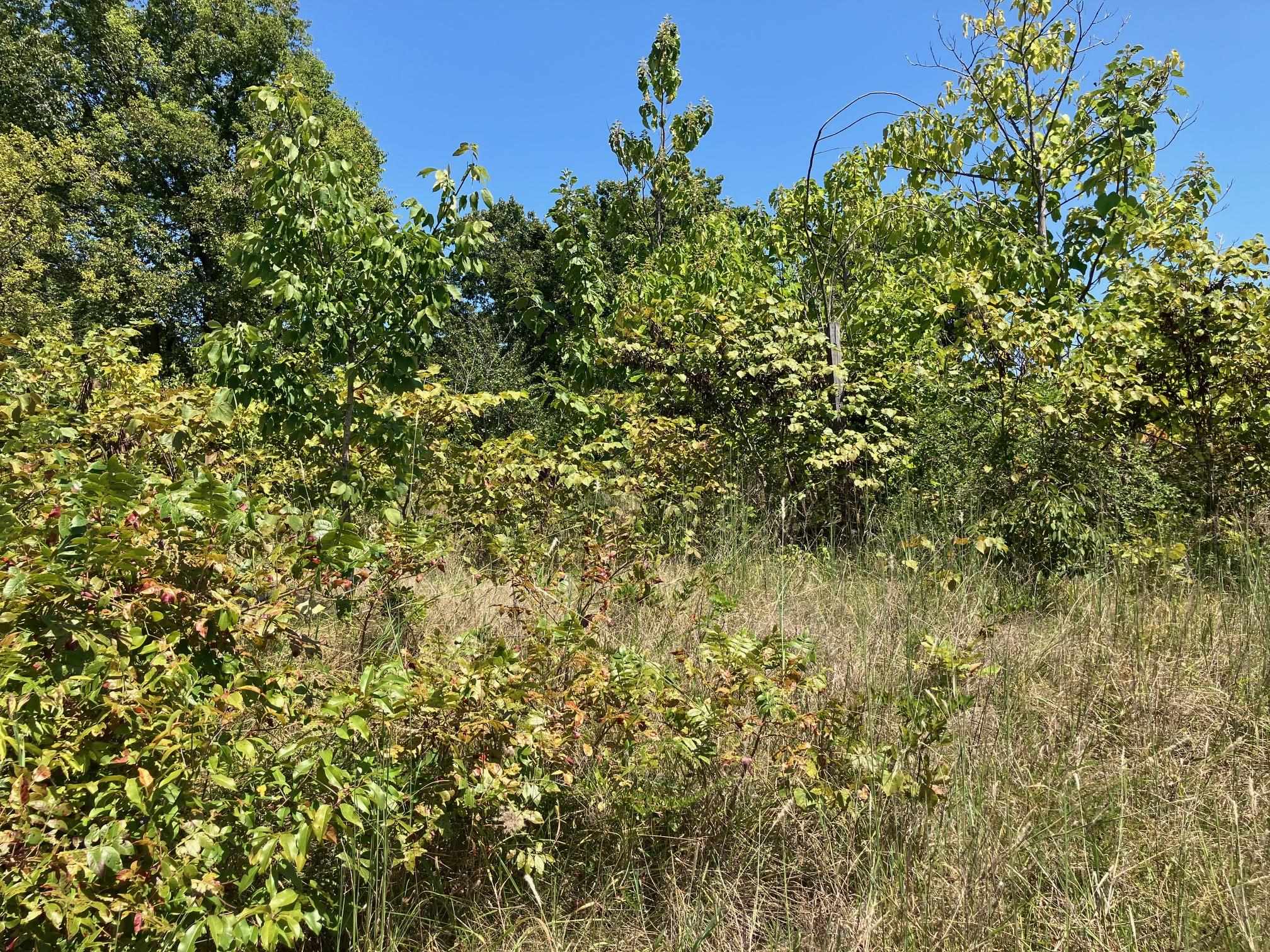 1942  Hwy 63 E  Hardy, AR