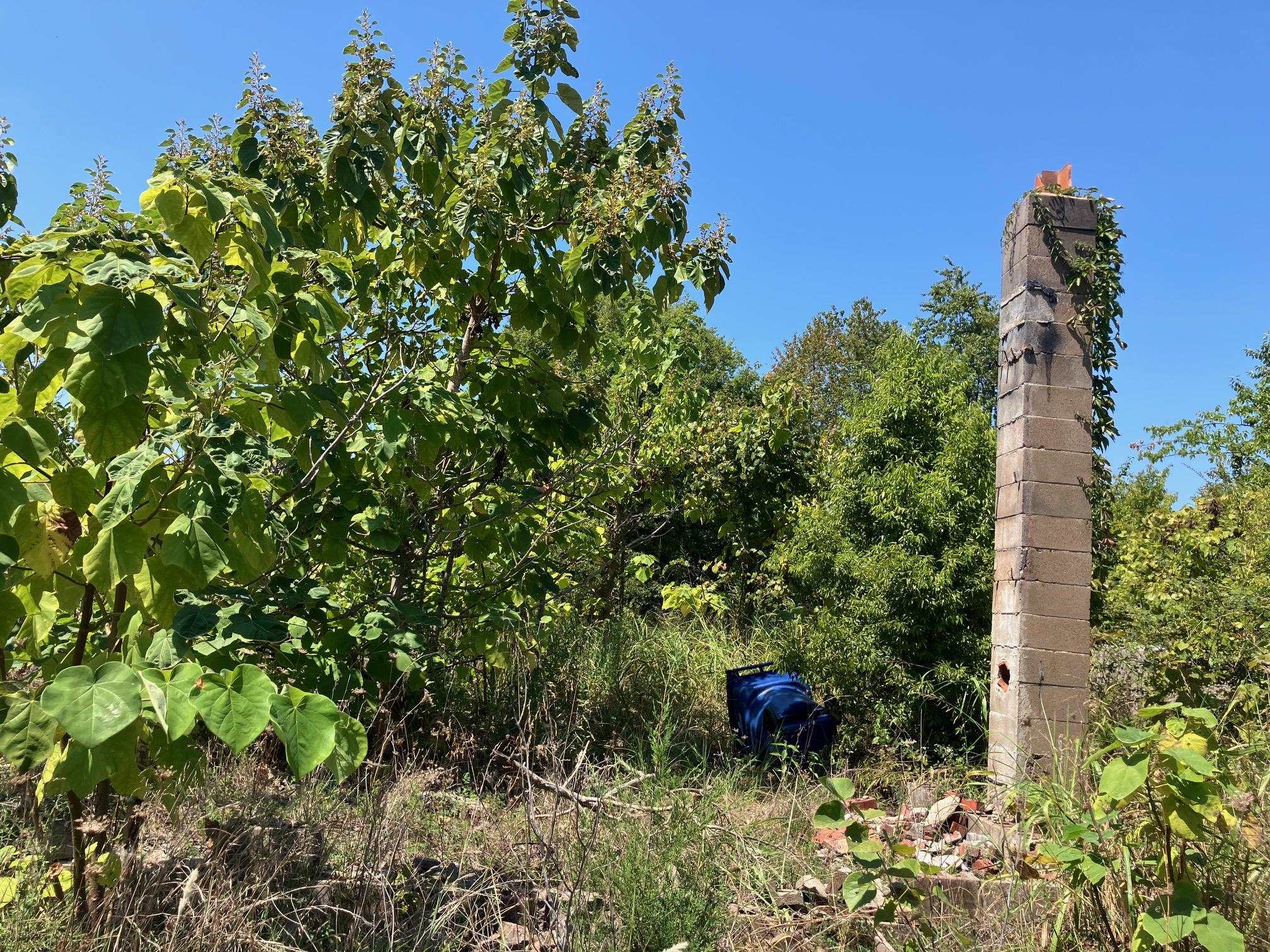1942  Hwy 63 E  Hardy, AR