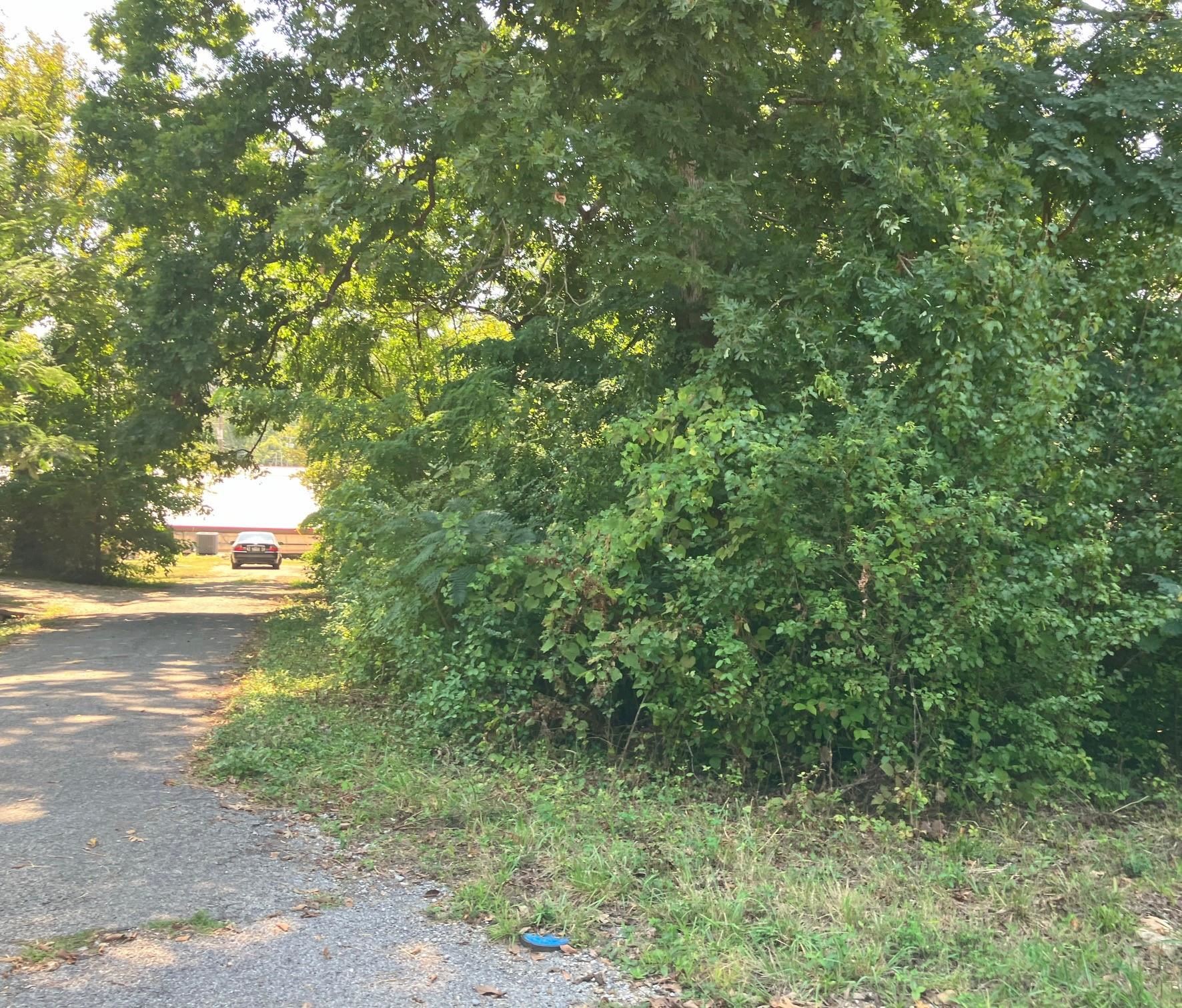 TBD  Church Street  Hardy, AR