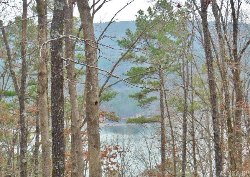 8  Manacor  Hot Springs Village, AR