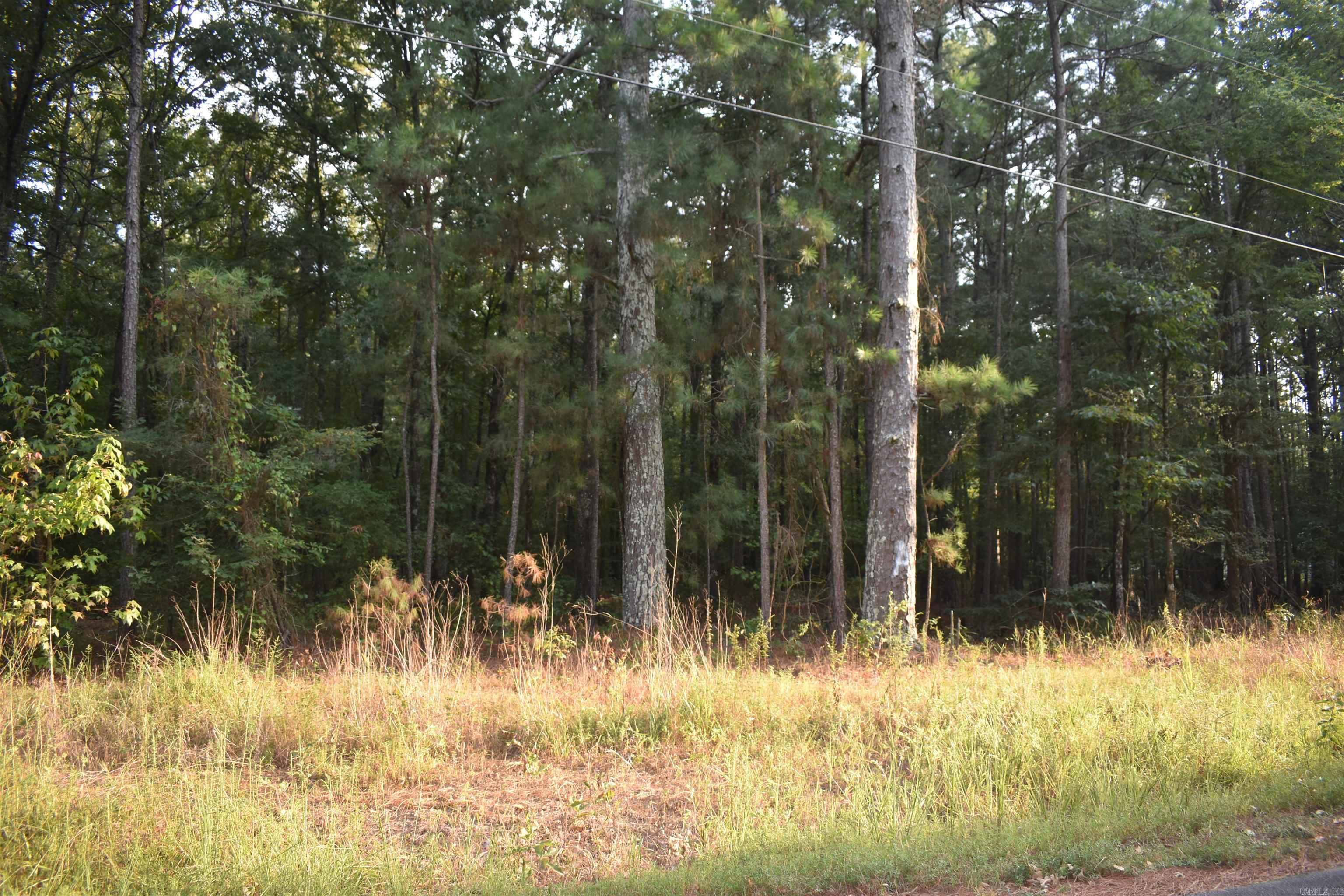  S Divoky Road  Pine Bluff, AR