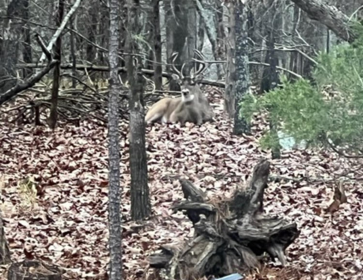 000  Main  Jacksonville, AR