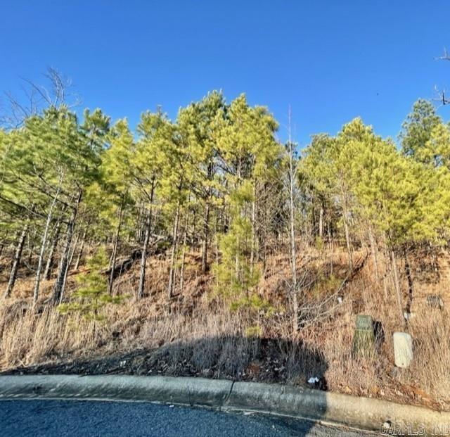 160  Oneida Way  Maumelle, AR