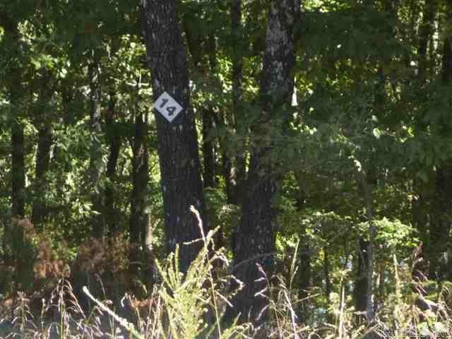 Lot 18 East Shore Dr. Drasco, AR 72530