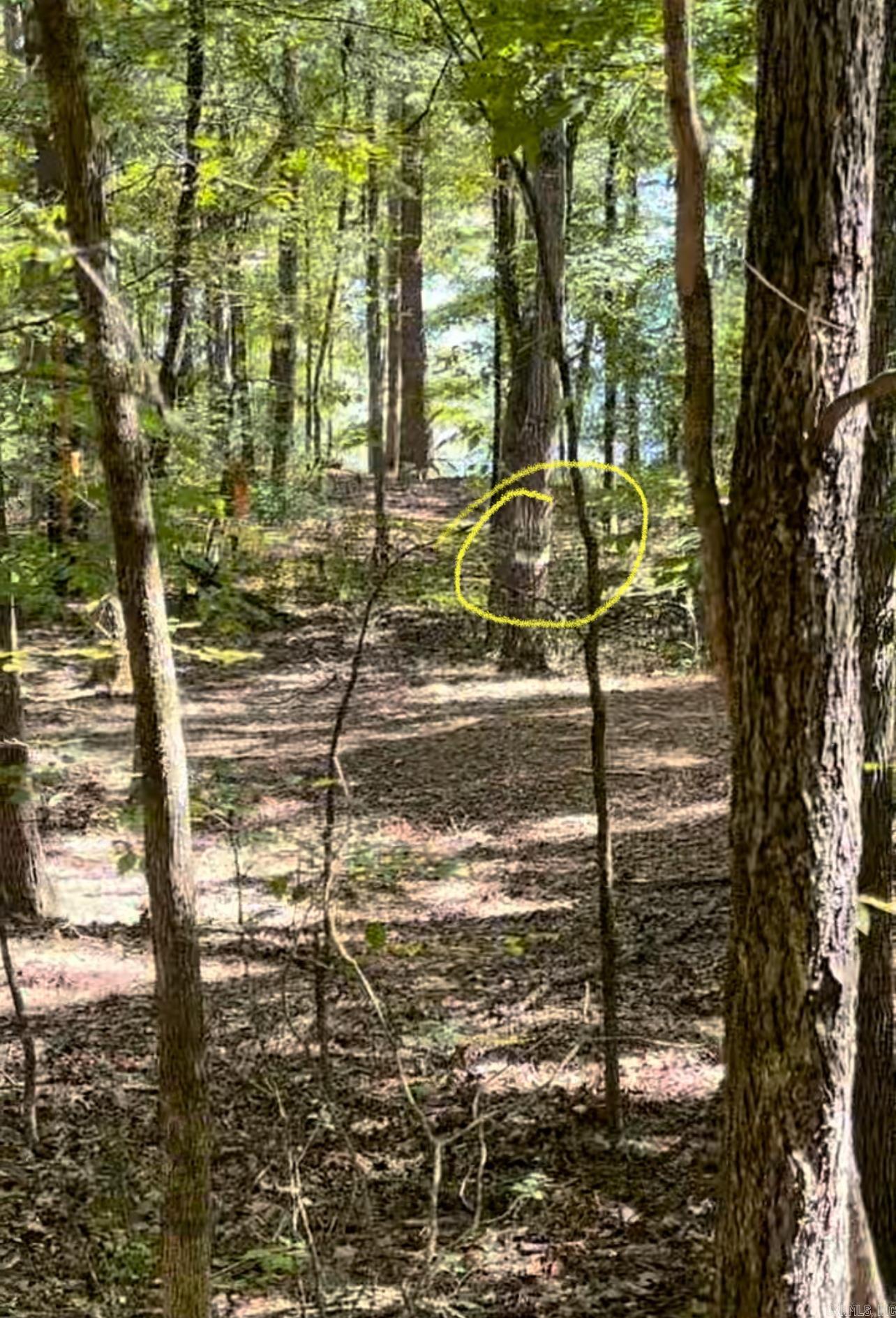 Lot 32 East Shore Dr. Drasco, AR 72530