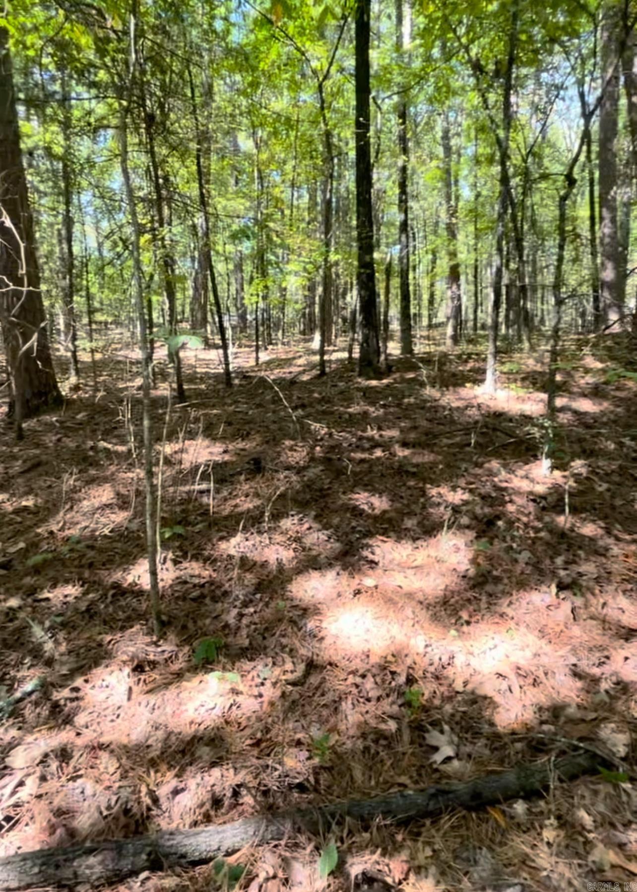 Lot 32 East Shore Dr. Drasco, AR 72530