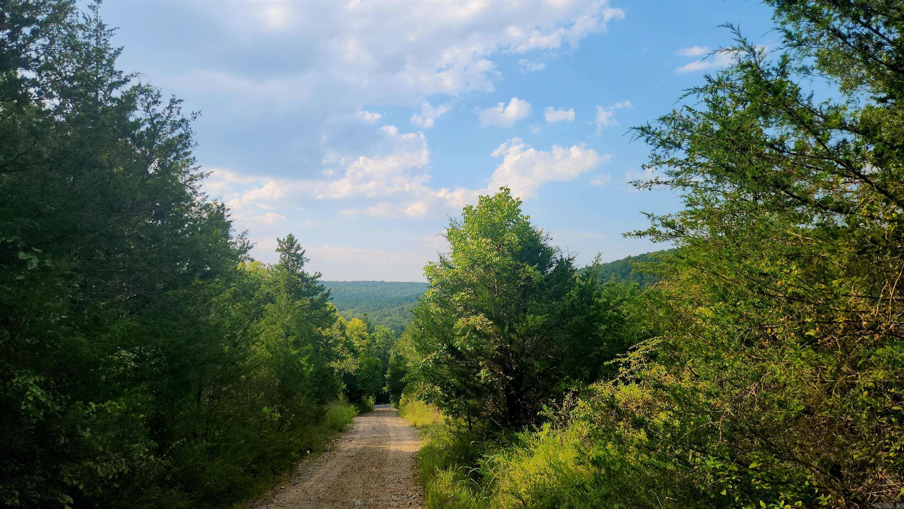  S 9  Mountain View, AR
