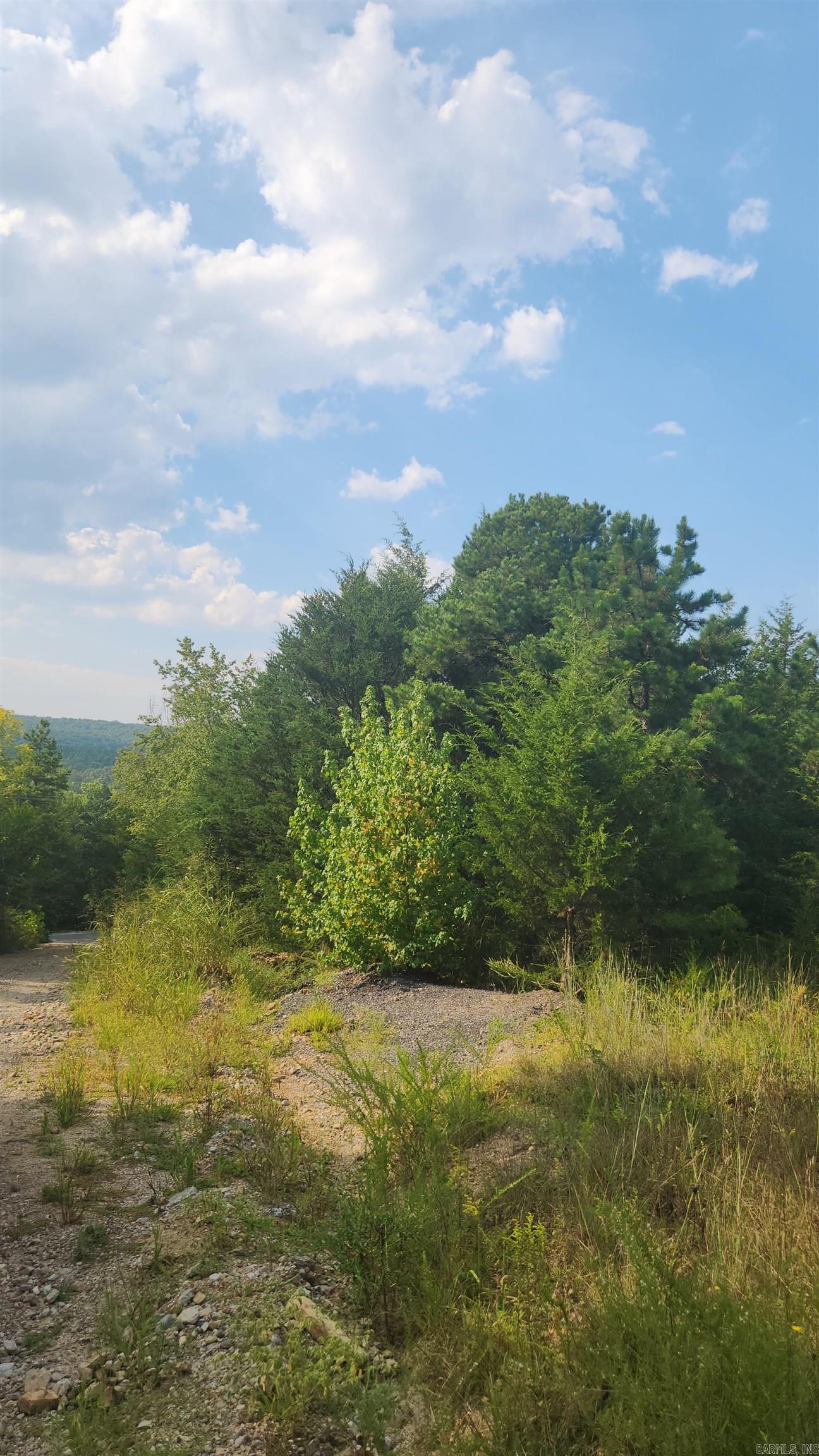  S 9  Mountain View, AR