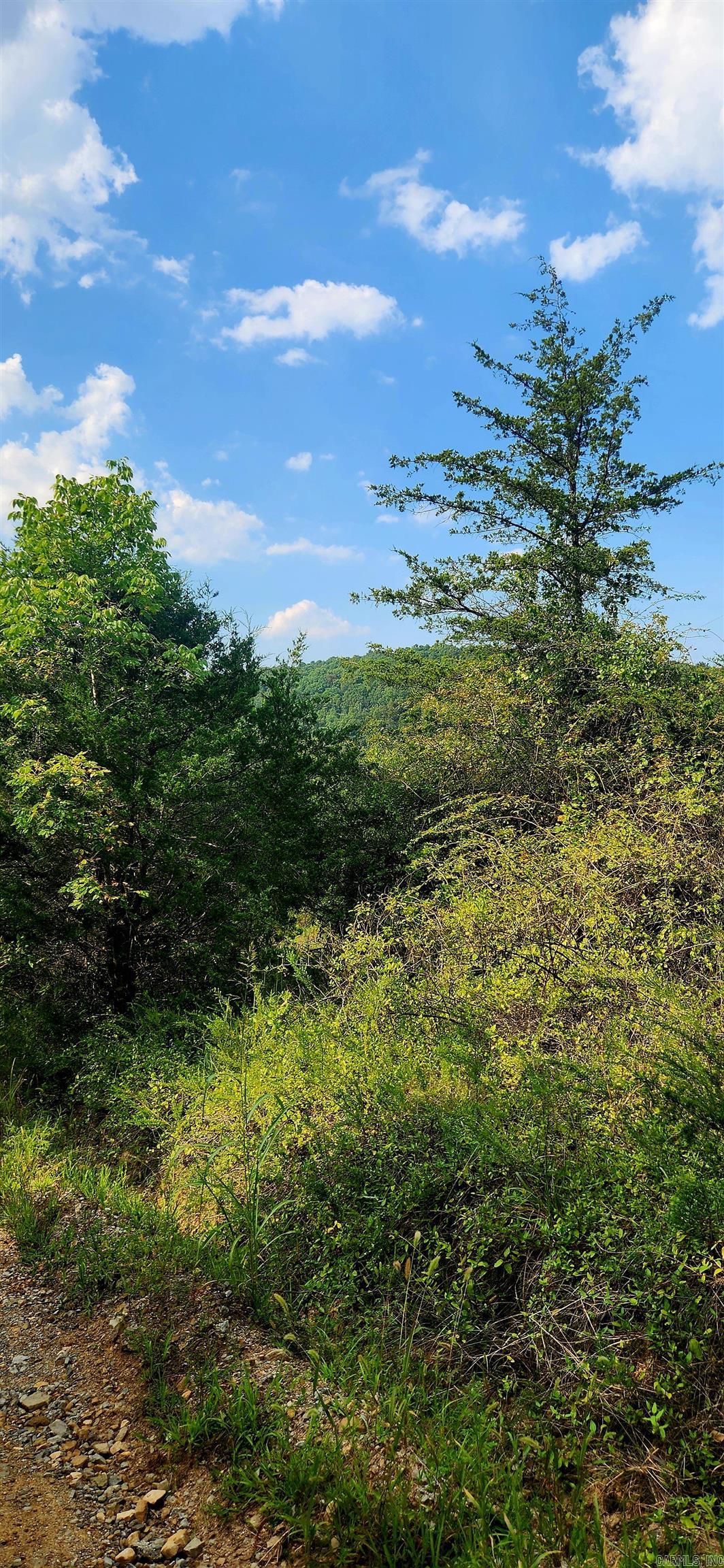  S 9  Mountain View, AR