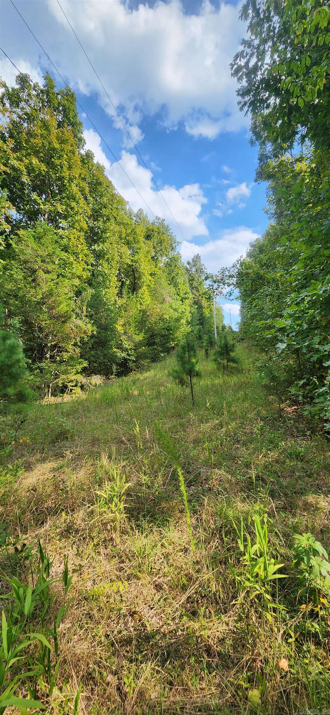  S 9  Mountain View, AR