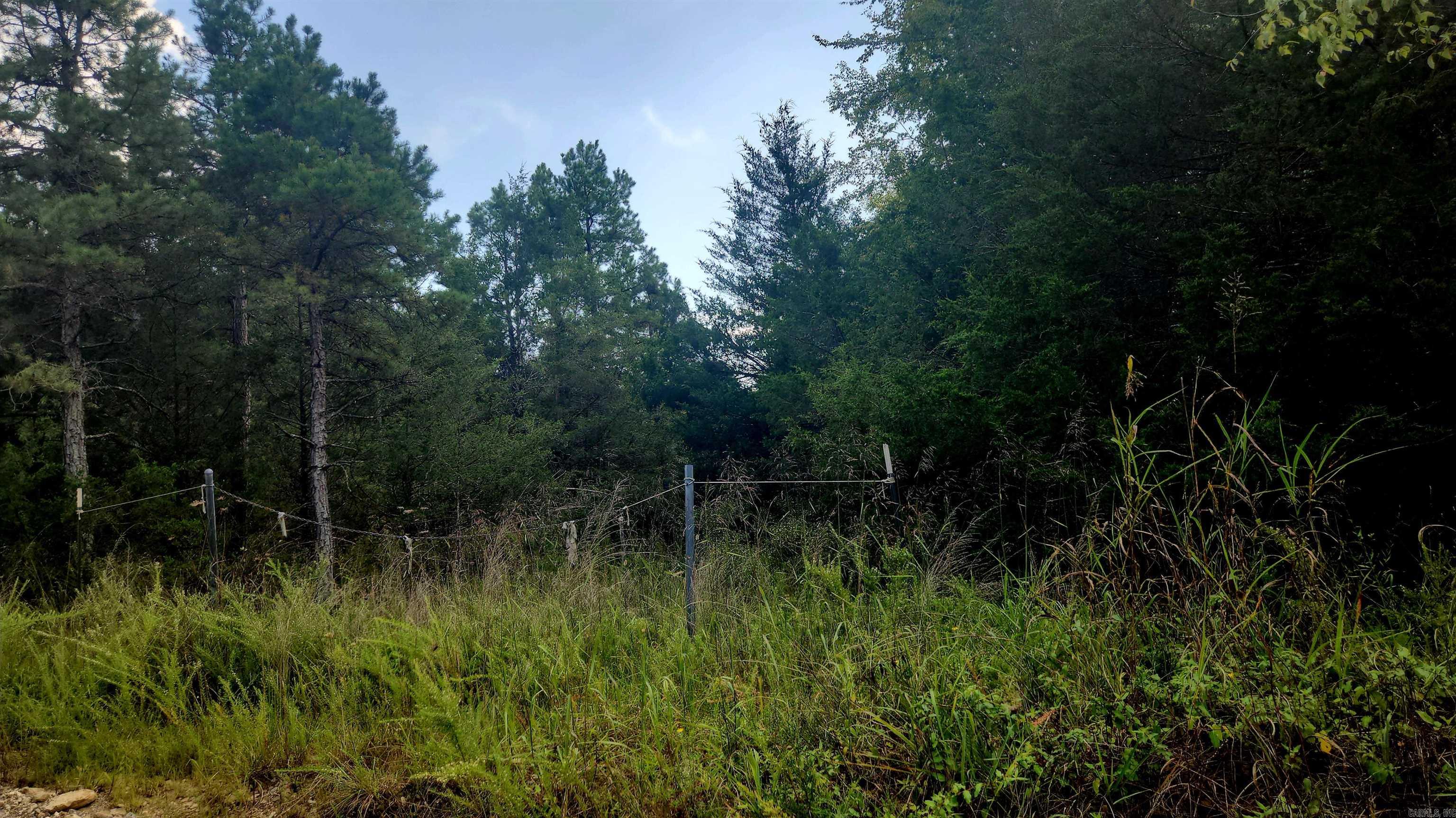  S 9  Mountain View, AR