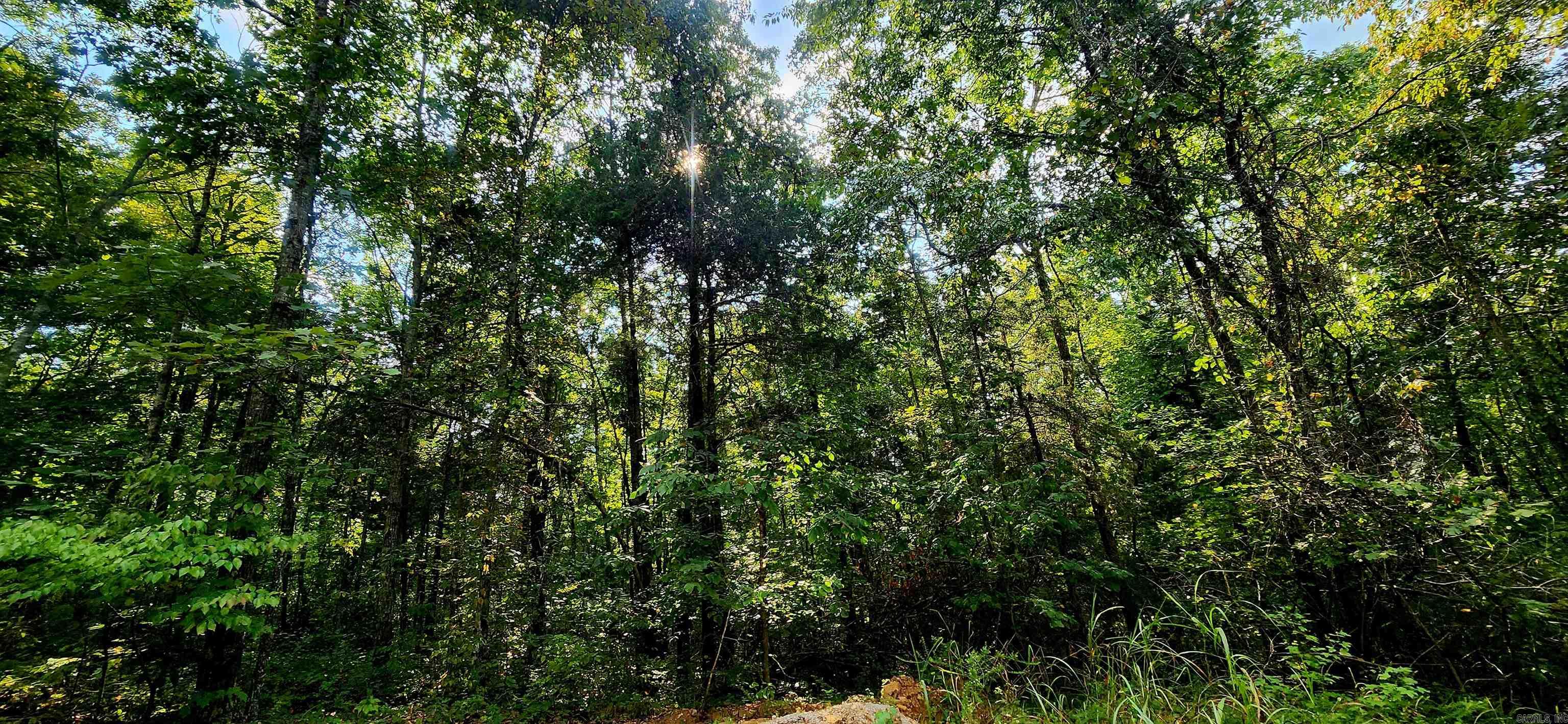  S 9  Mountain View, AR