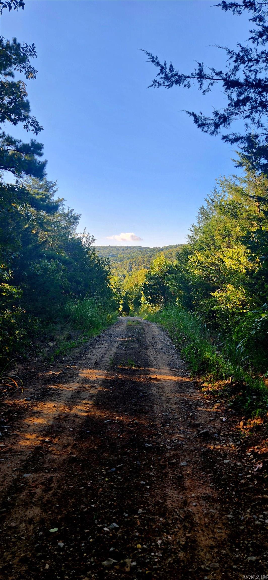  S 9  Mountain View, AR