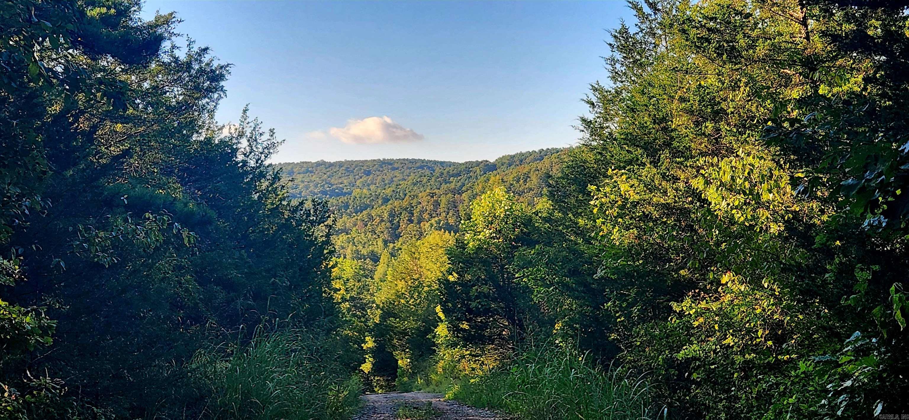  S 9  Mountain View, AR