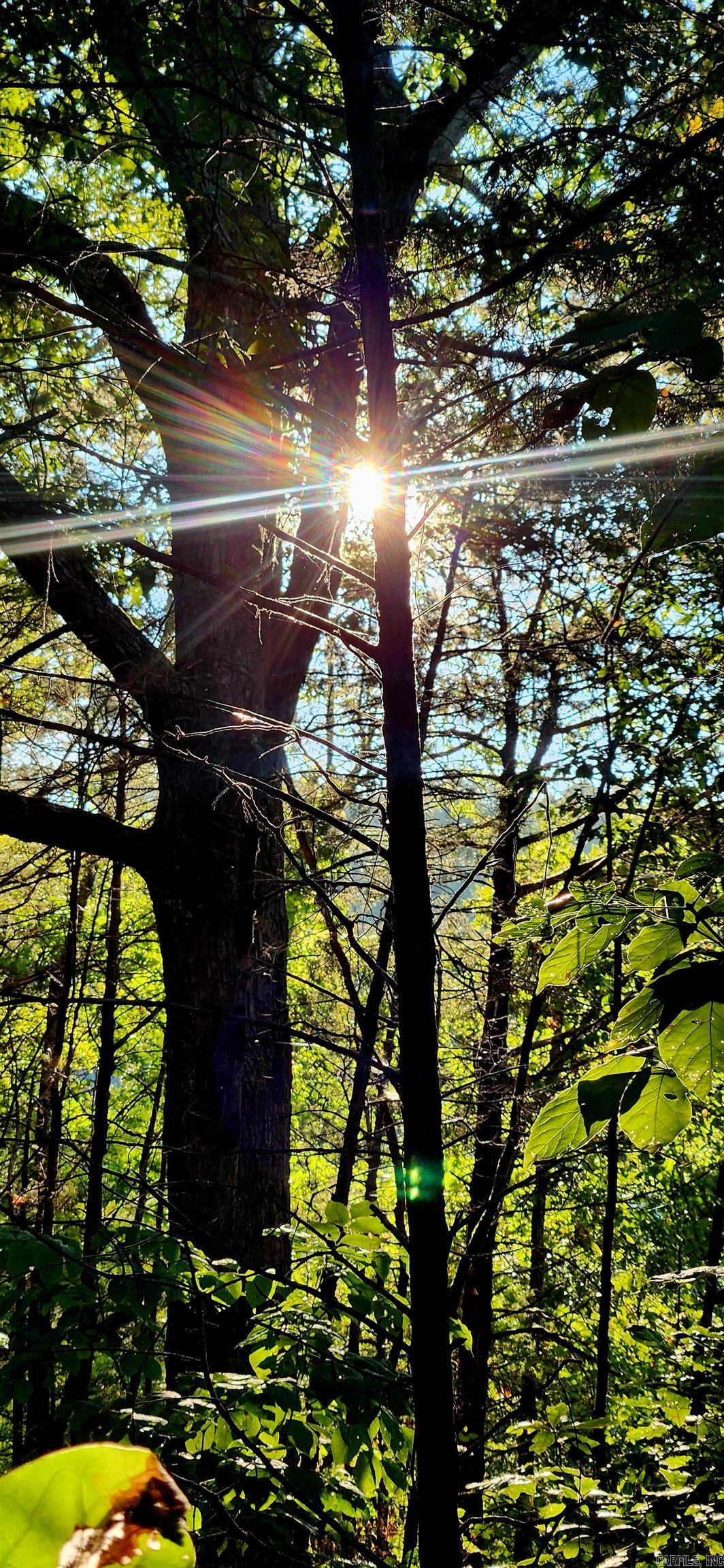  S 9  Mountain View, AR