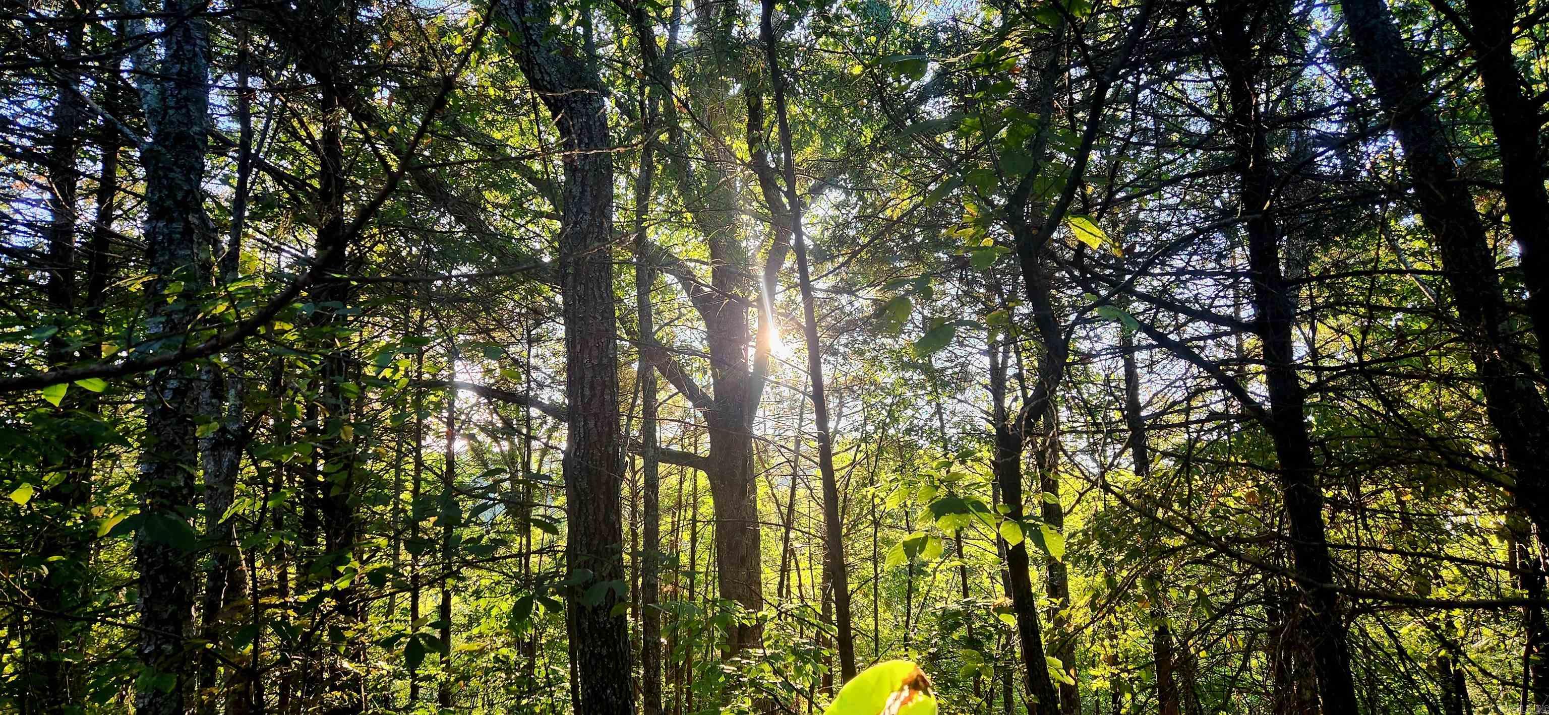 S 9  Mountain View, AR