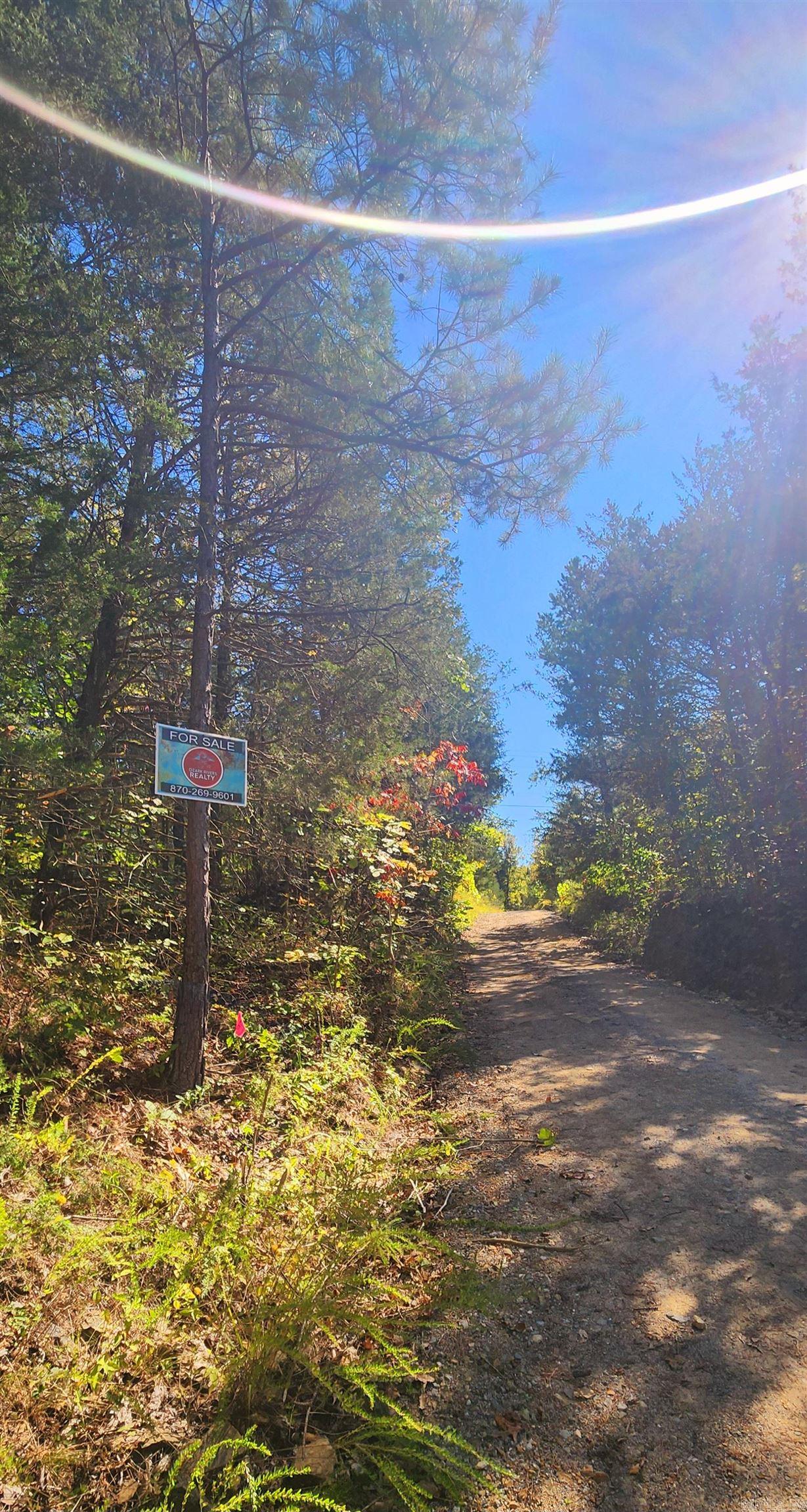  S 9  Mountain View, AR