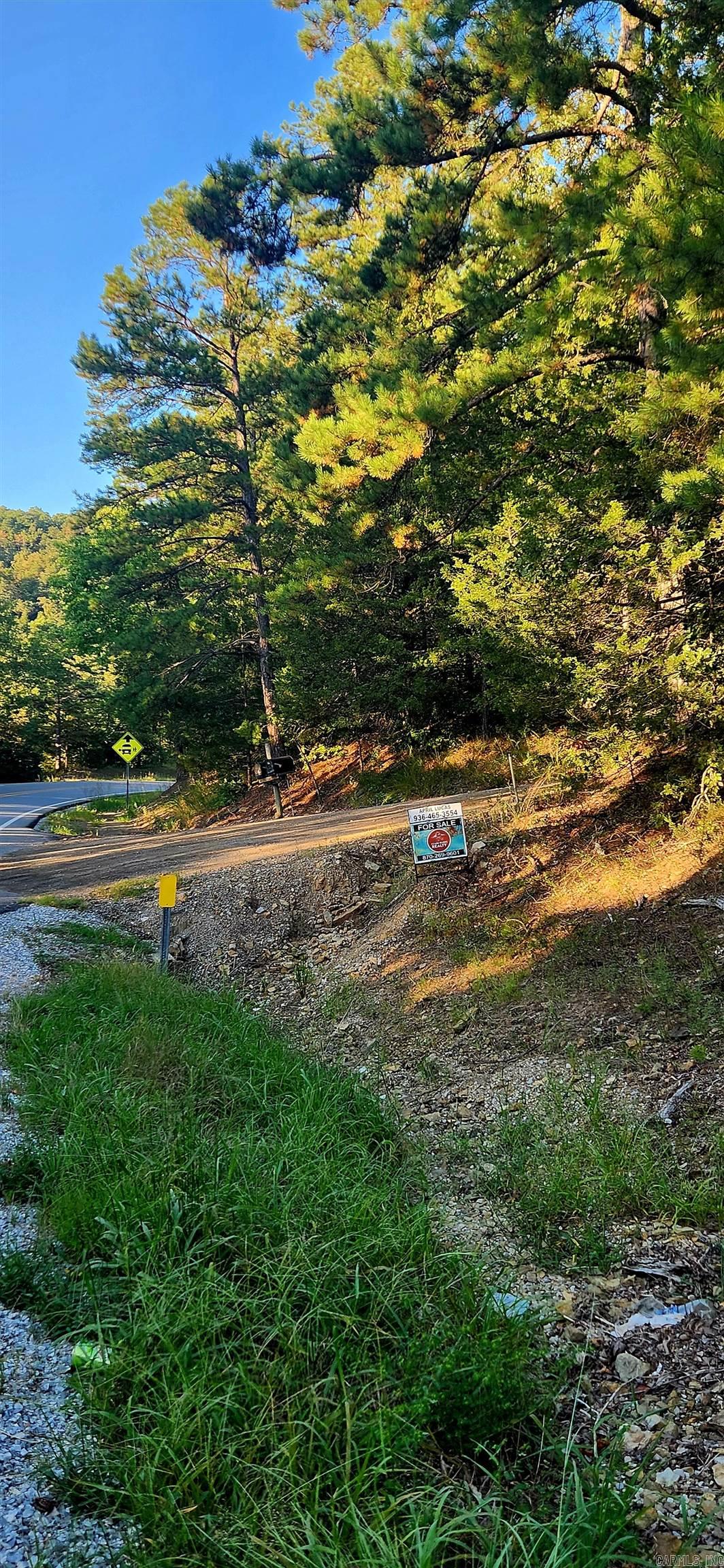  S 9  Mountain View, AR