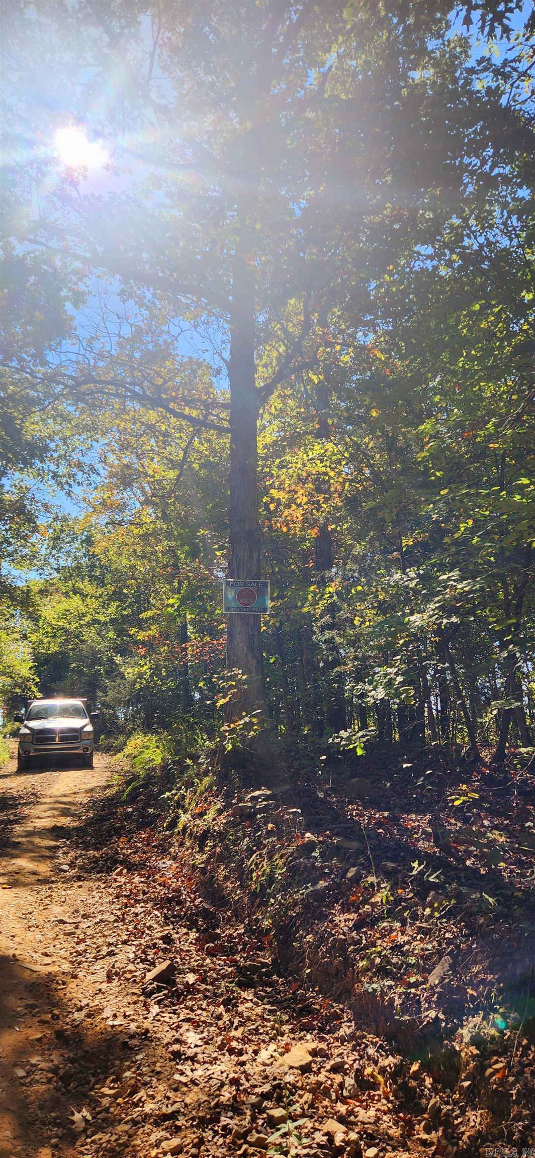  S 9  Mountain View, AR