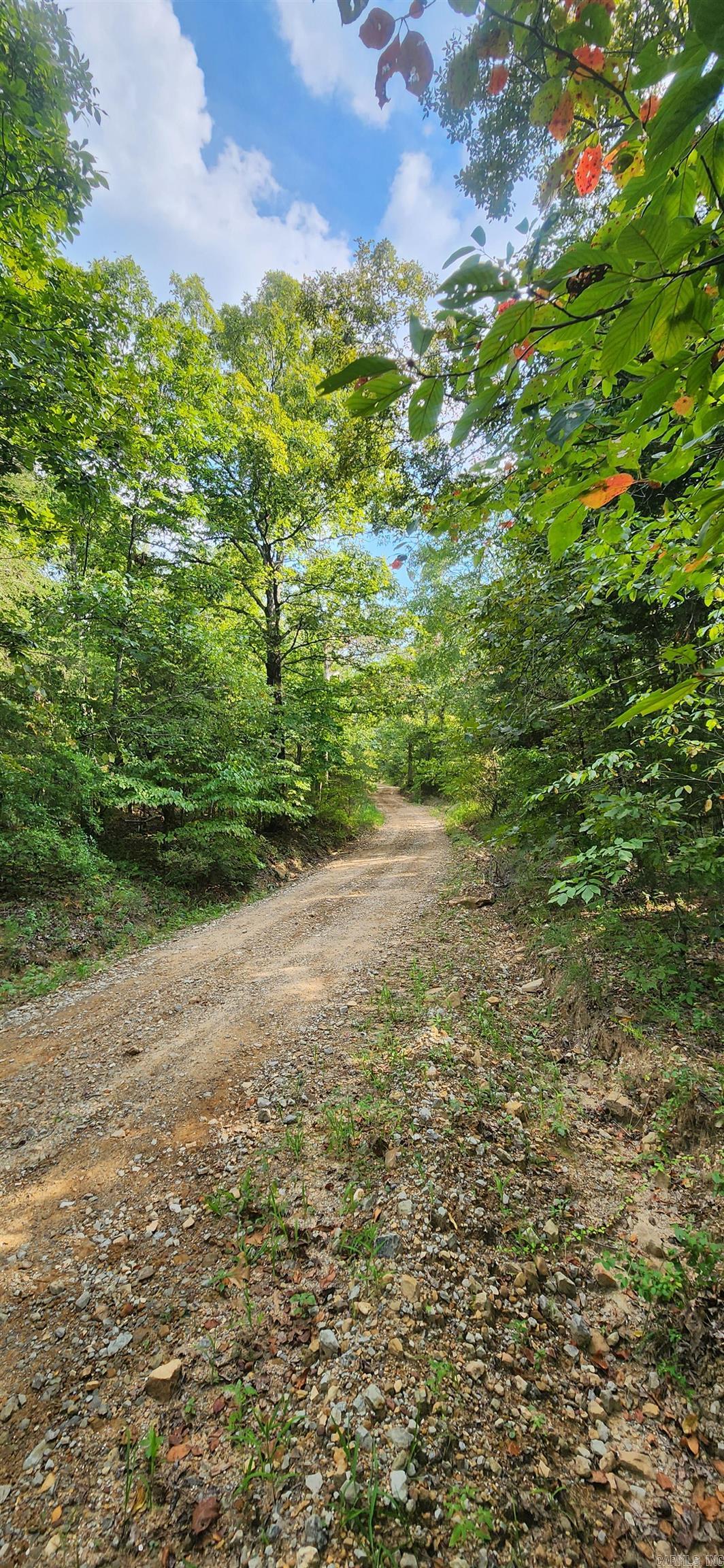  S 9  Mountain View, AR
