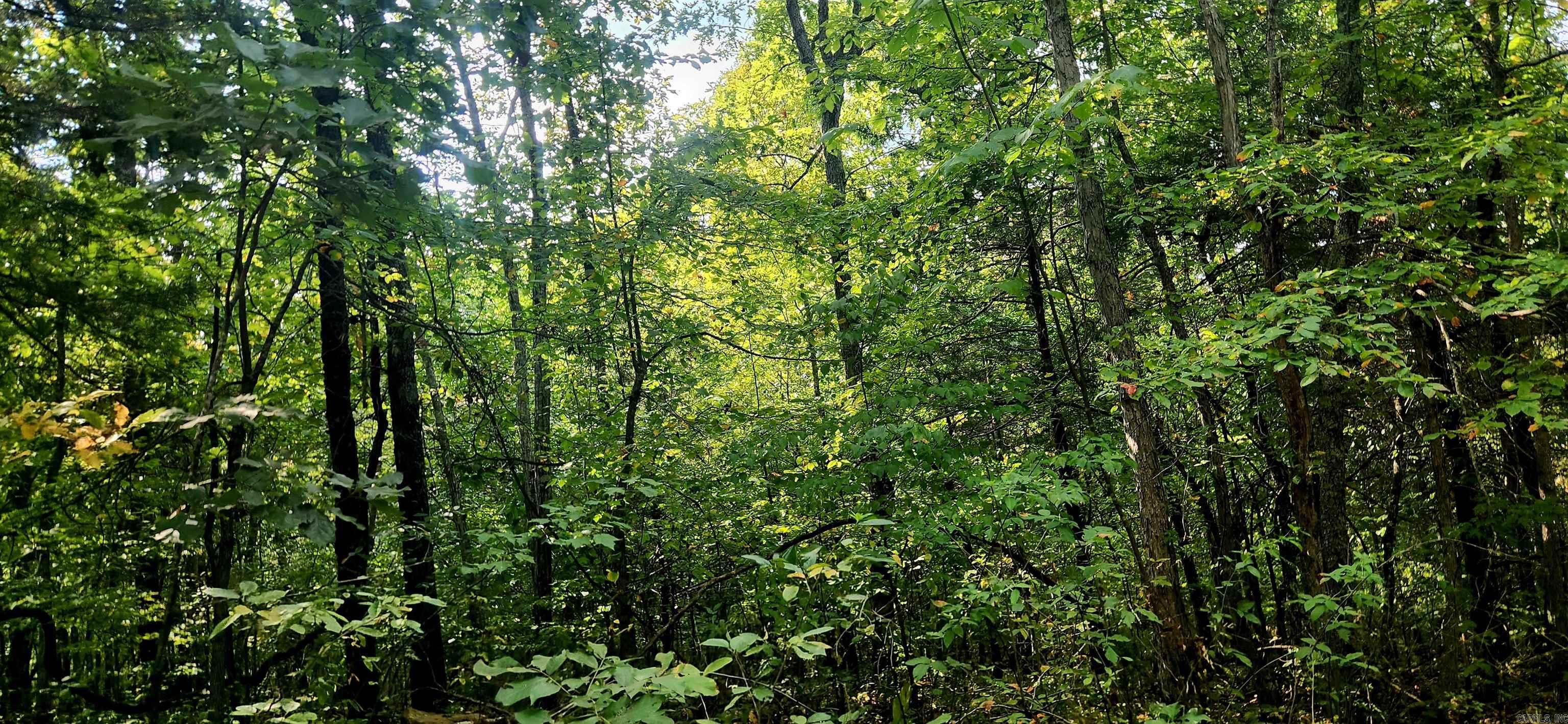  S 9  Mountain View, AR