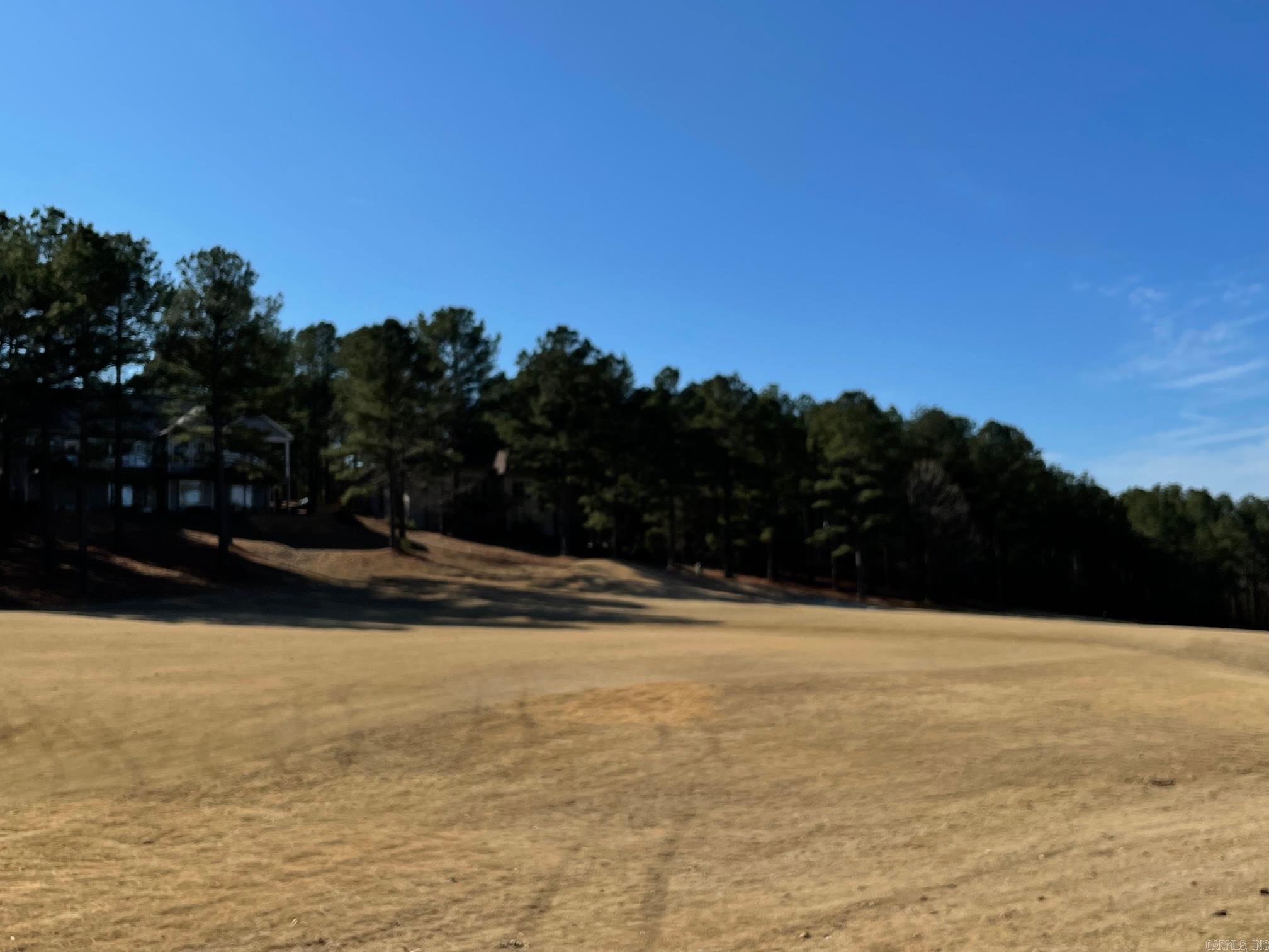 8  Temerario  Hot Springs Village, AR