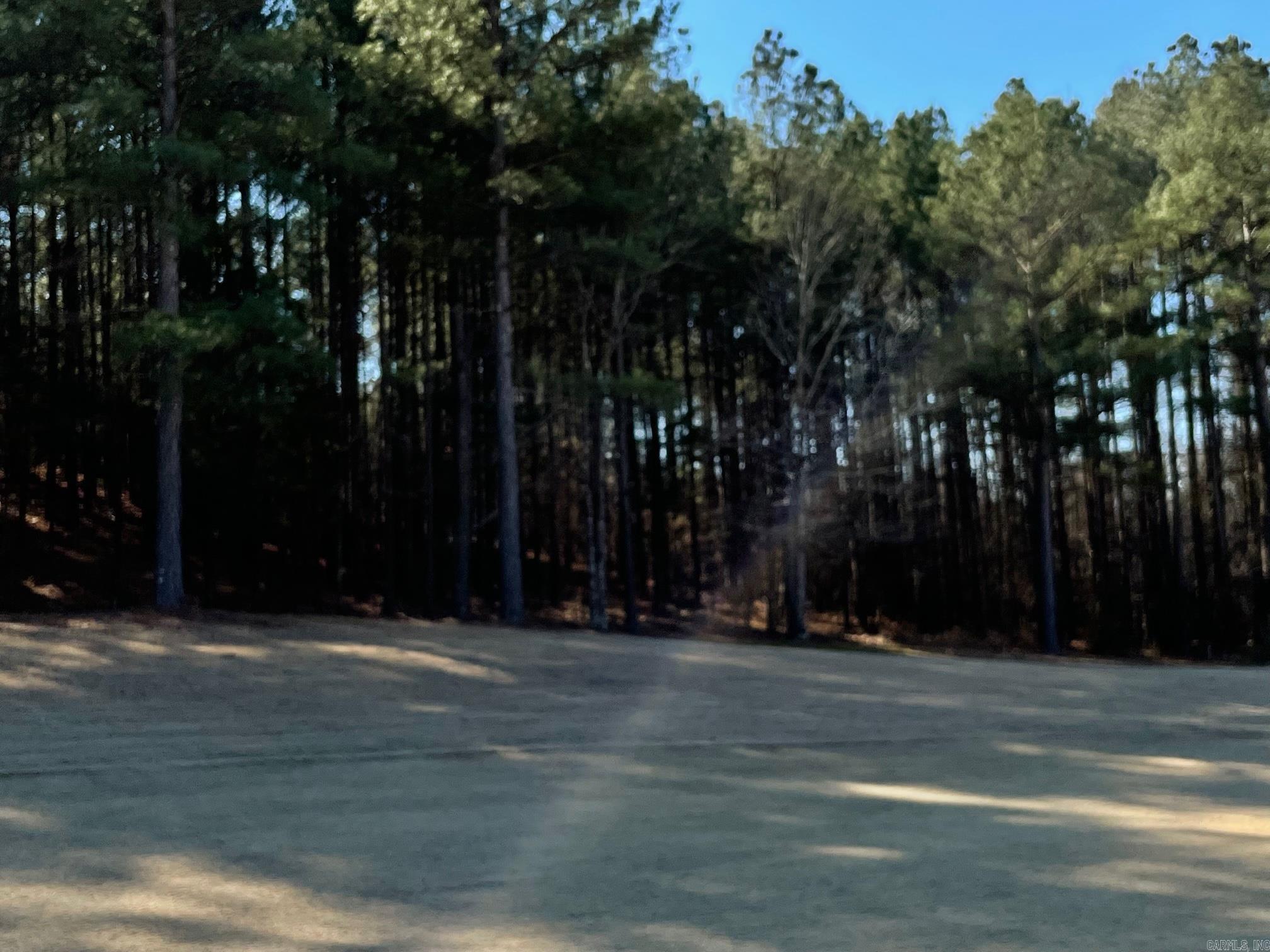 8  Temerario  Hot Springs Village, AR