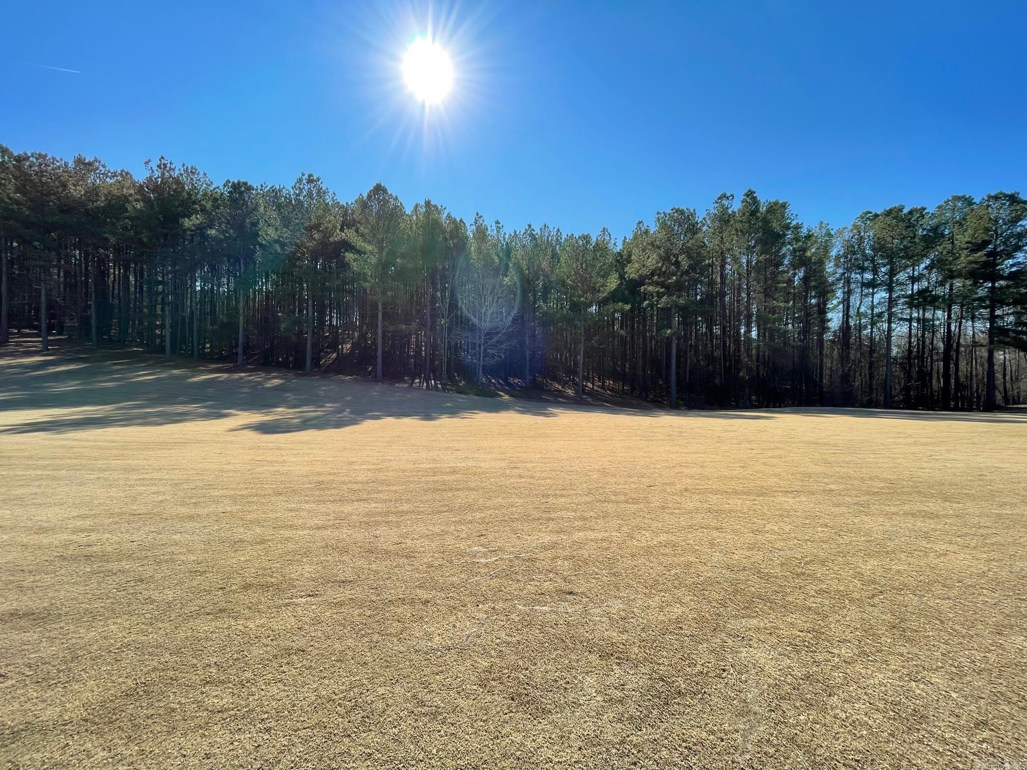 8  Temerario  Hot Springs Village, AR