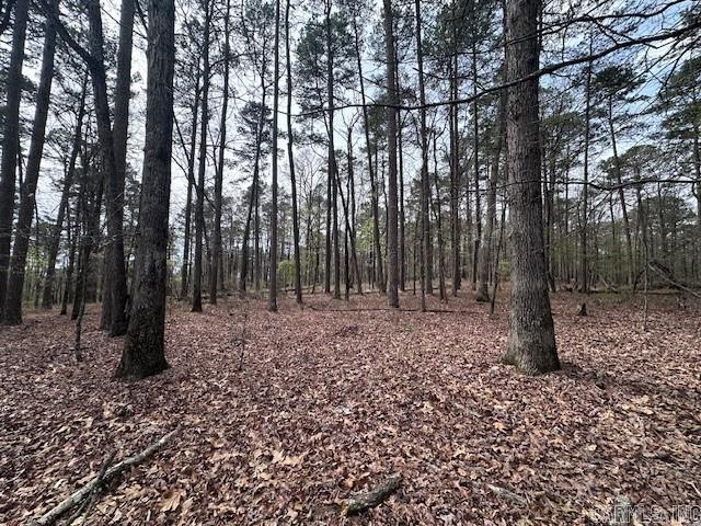 12  Refran Ln  Hot Springs Village, AR
