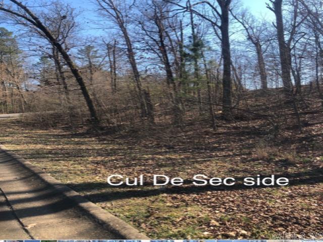 Lot 33  Hidden Eagle Terrace  Hot Springs, AR