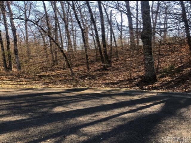 Lot 33  Hidden Eagle Terrace  Hot Springs, AR