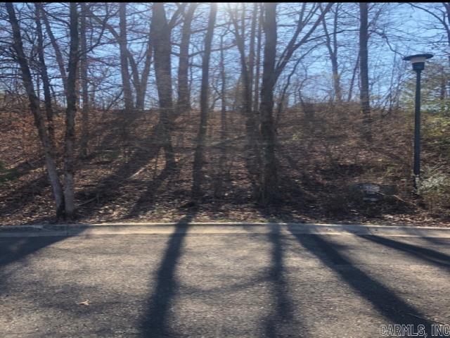 Lot 33  Hidden Eagle Terrace  Hot Springs, AR