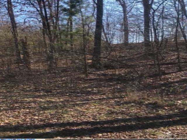 Lot 33  Hidden Eagle Terrace  Hot Springs, AR
