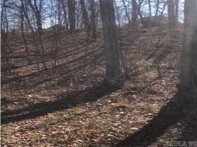 Lot 33  Hidden Eagle Terrace  Hot Springs, AR
