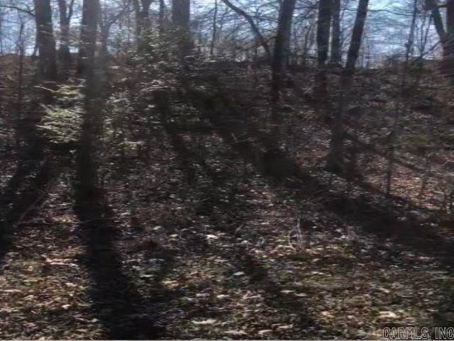 Lot 33  Hidden Eagle Terrace  Hot Springs, AR