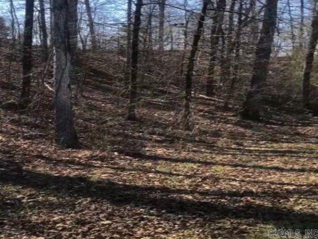 Lot 33  Hidden Eagle Terrace  Hot Springs, AR