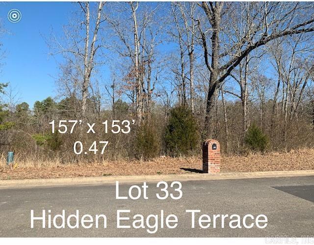 Lot 33  Hidden Eagle Terrace  Hot Springs, AR