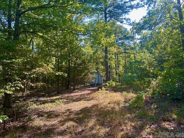825  Piney  Shirley, AR