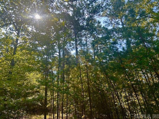 825  Piney  Shirley, AR