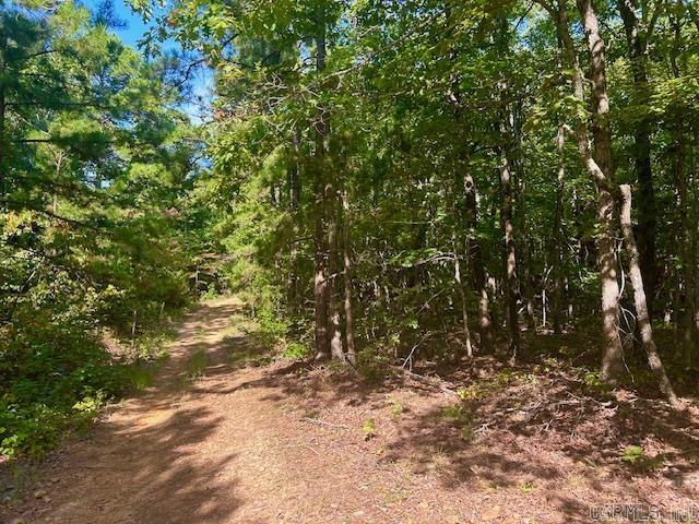 825  Piney  Shirley, AR